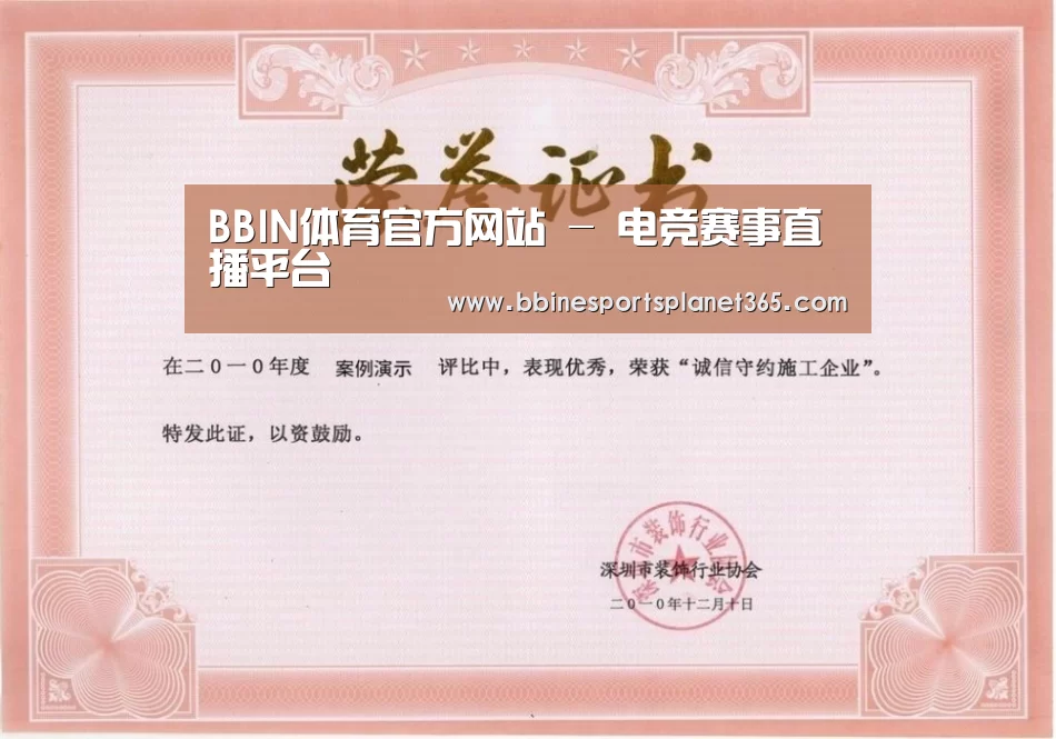 BBIN直播荣誉证书一(图1)