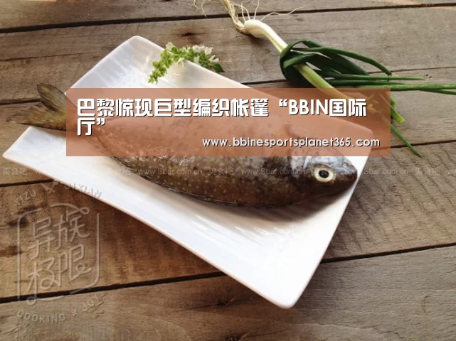 巴黎惊现巨型编织帐篷“BBIN国际厅”(图1) BBIN国际厅