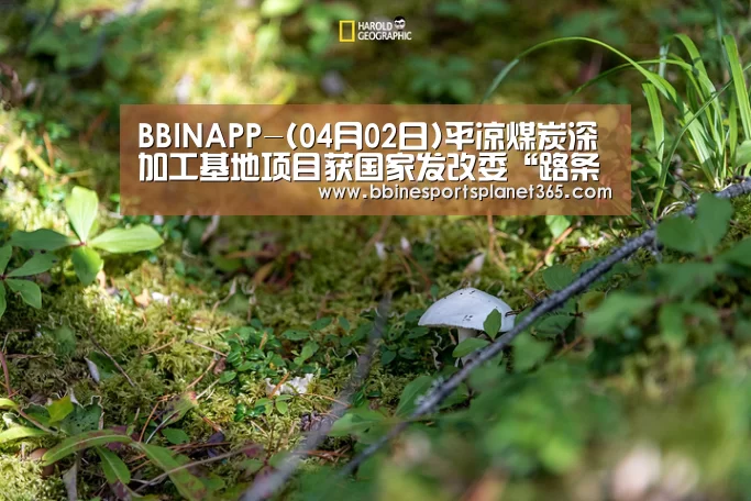 BBINAPP-(04月02日)平凉煤炭深加工基地项目获国家发改委“路条”(图3) BBIN直播