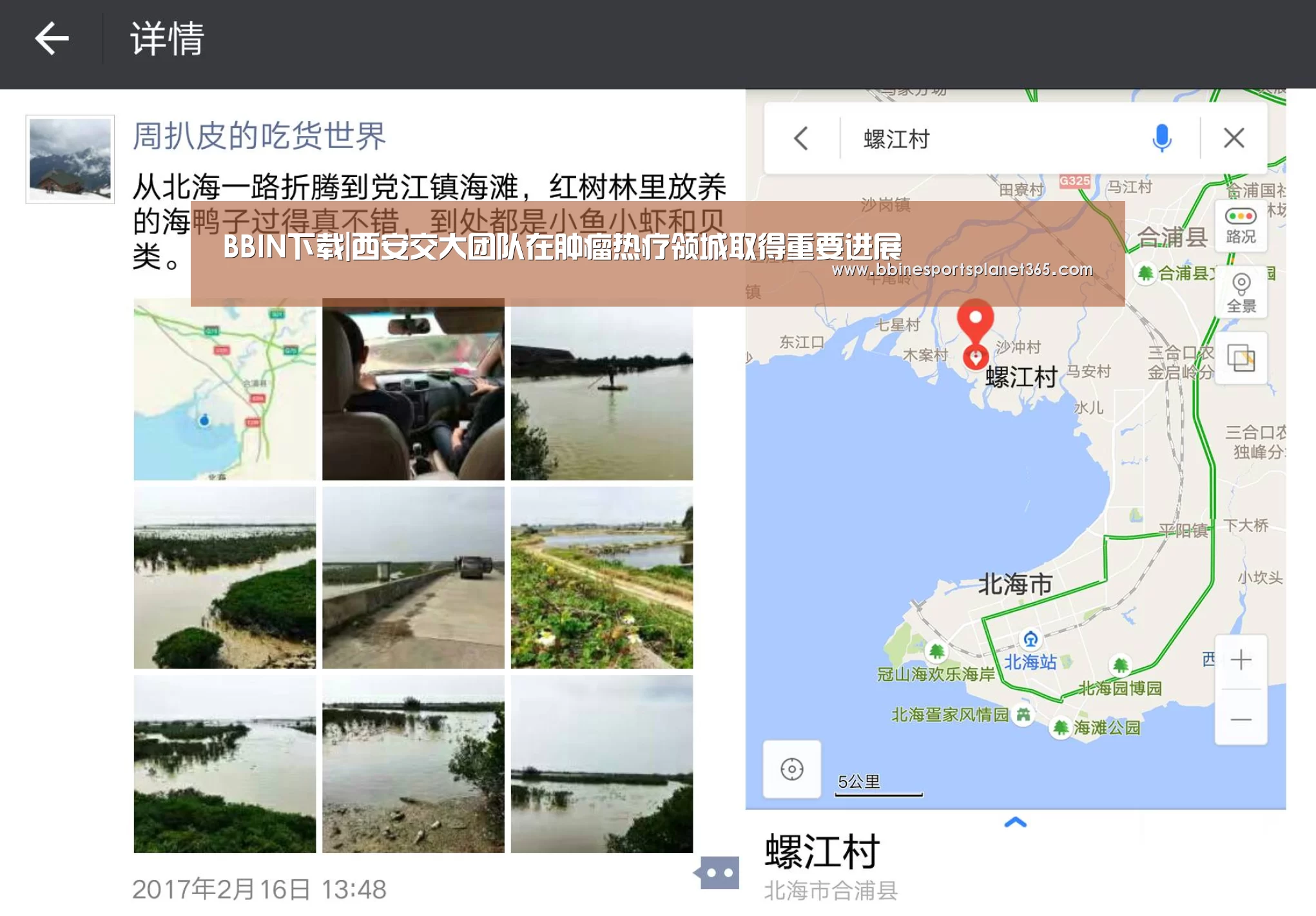 BBIN下载