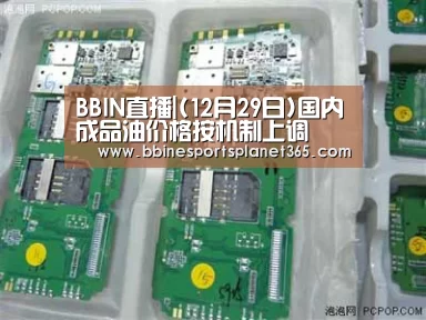 BBIN国际厅